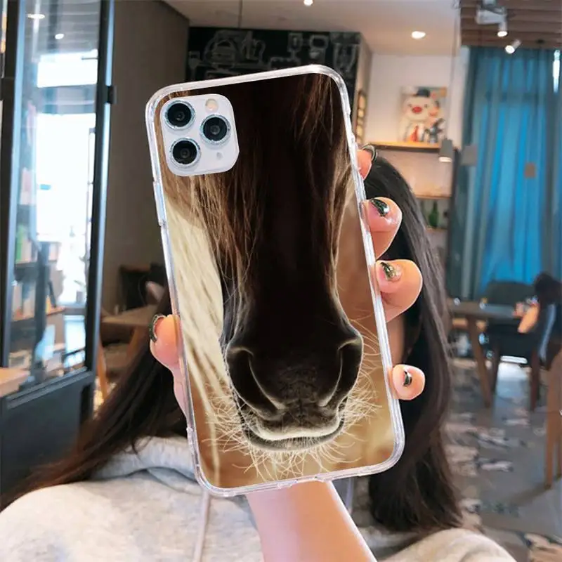

Frederik The Great beauty horse Phone Case Transparent for iPhone 6 7 8 11 12 s mini pro X XS XR MAX Plus