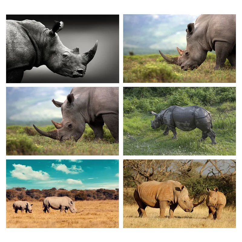 

Diamond Cross Stitch Art Full Drill Embroidery 5D Diy Rhinoceros Diamond Painting Living Room Home Decor Mosaic Animal