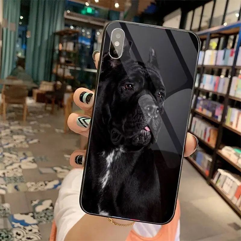 

Pitbull ferocious animal high quality cover Phone Case Tempered glass For iphone 5C 6 6S 7 8 plus X XS XR 11 PRO MAX