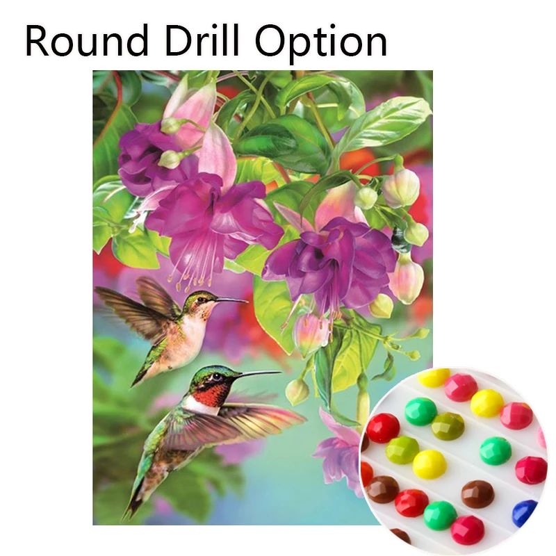 Round Drill Option 5d алмазная живопись полная дрель Колибри Цветы Стразы Алмазная вышивка мозаика подарок наклейка на стену домашний декор - Цвет: Round Drill Option