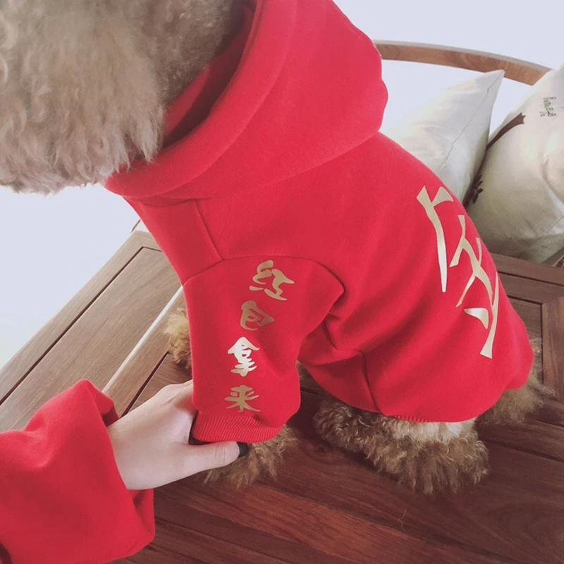 Модная зимняя теплая одежда для собак Doberman толстовка щенка наряд родителей и