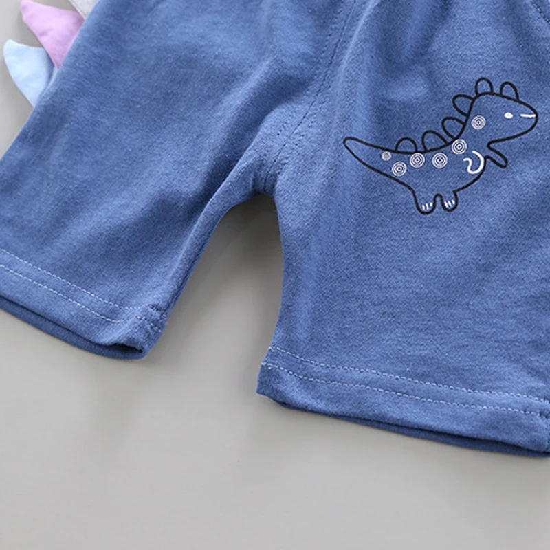 

Bear Leader Kids Boys Clothes Sets 2021 New Fashion Toddler Boy Cartoon Dinosaur Clothing Kids Casual Cute Outfits 2Pcs For 1-4Y