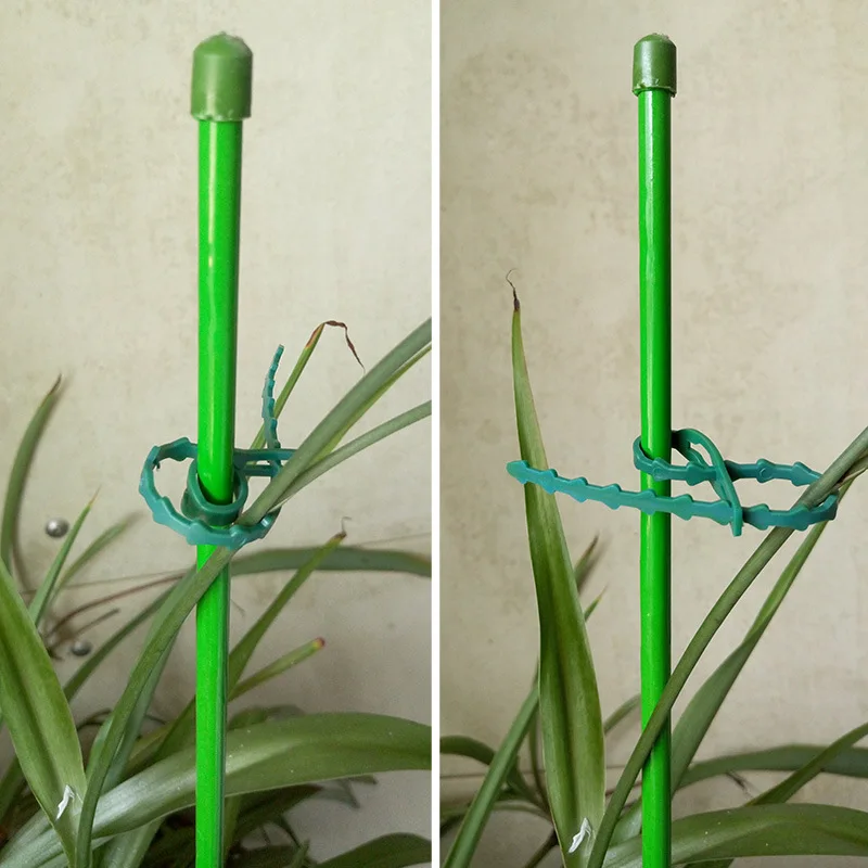 

30/50/100Pcs Reusable Garden Cable Ties Plant Support Shrubs Fastener Tree Locking Nylon Adjustable Plastic Cable Ties Tools