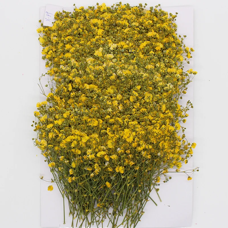 Натуральные сушеные цветы тиснение Botany образец Diy клей ручной оболочки Ароматерапия Свеча фоторамка активность материал наука