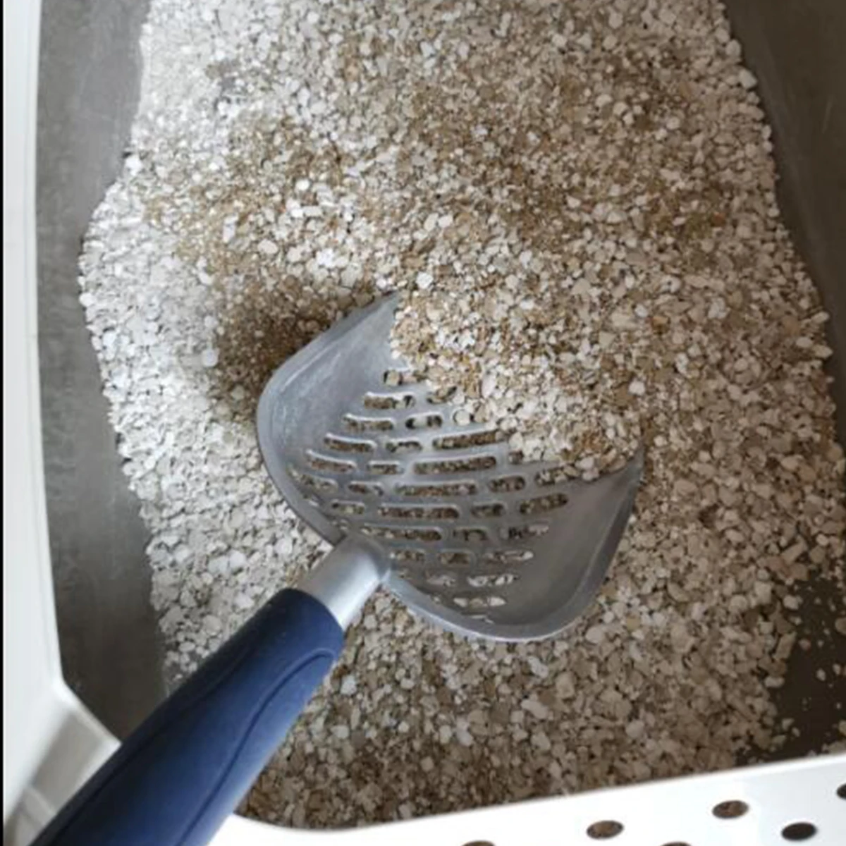 

Pet Cat Litter Scoop Stainless Steel Metal Cleanning Tool Puppy Kitten Cozy Sand Scoop Shovel Product Pet Cleaning Supplies