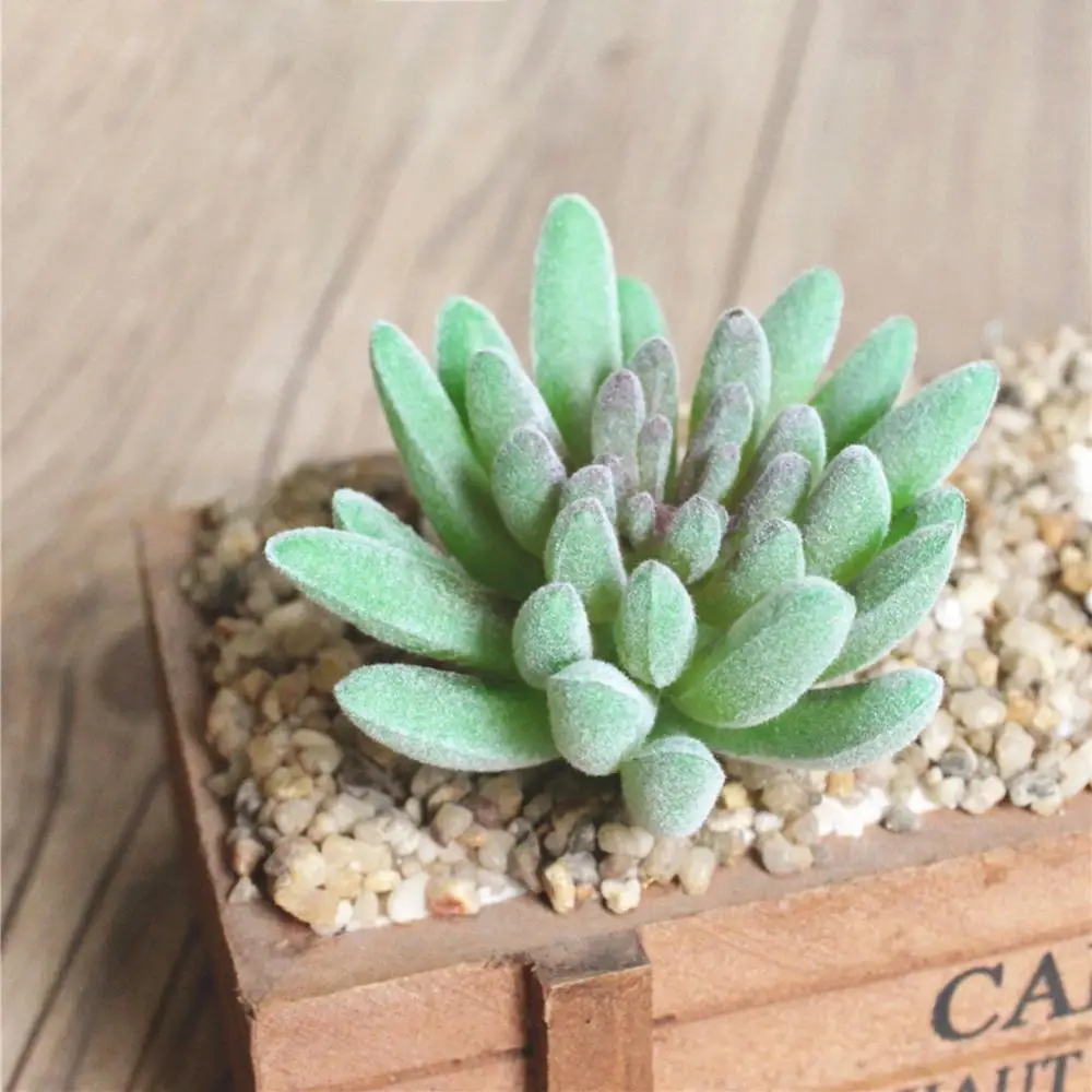 

Various Artificial Succulent Plants Lotus Landscape Decorative Flower Mini Green Fake Succulents Plant Garden Arrangement Decor