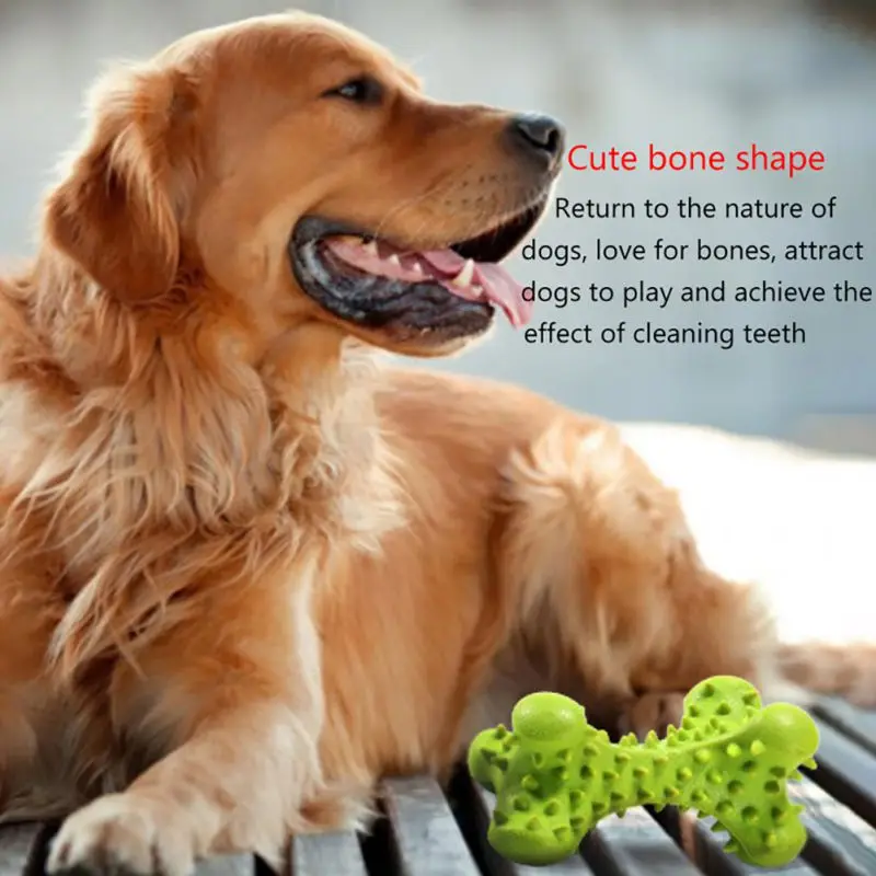 Собака молярная игрушка Укус устойчивостью отбеливание при чистке зубов