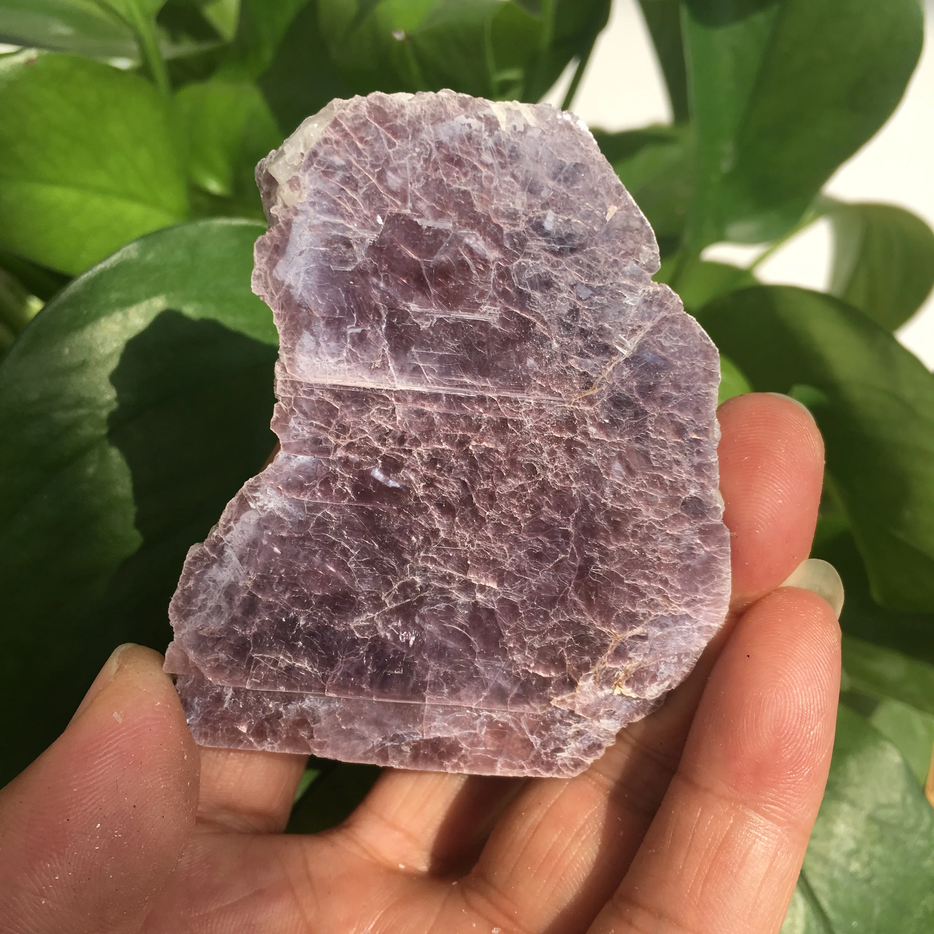 

180-200g Wholesale Natural Lepidolite Crystal Slice Rough Ziyun Mother Rock Stones Luminous Specimen Purple Mica For Decorati