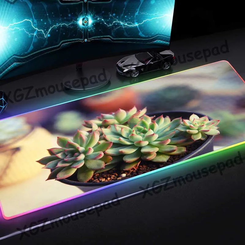 Большой коврик для мыши XGZ с изображением растений-суккулентов на заказ RGB черный