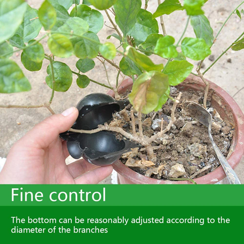 Коробка для выращивания растений мяч прививки чехол разведения корней садовый