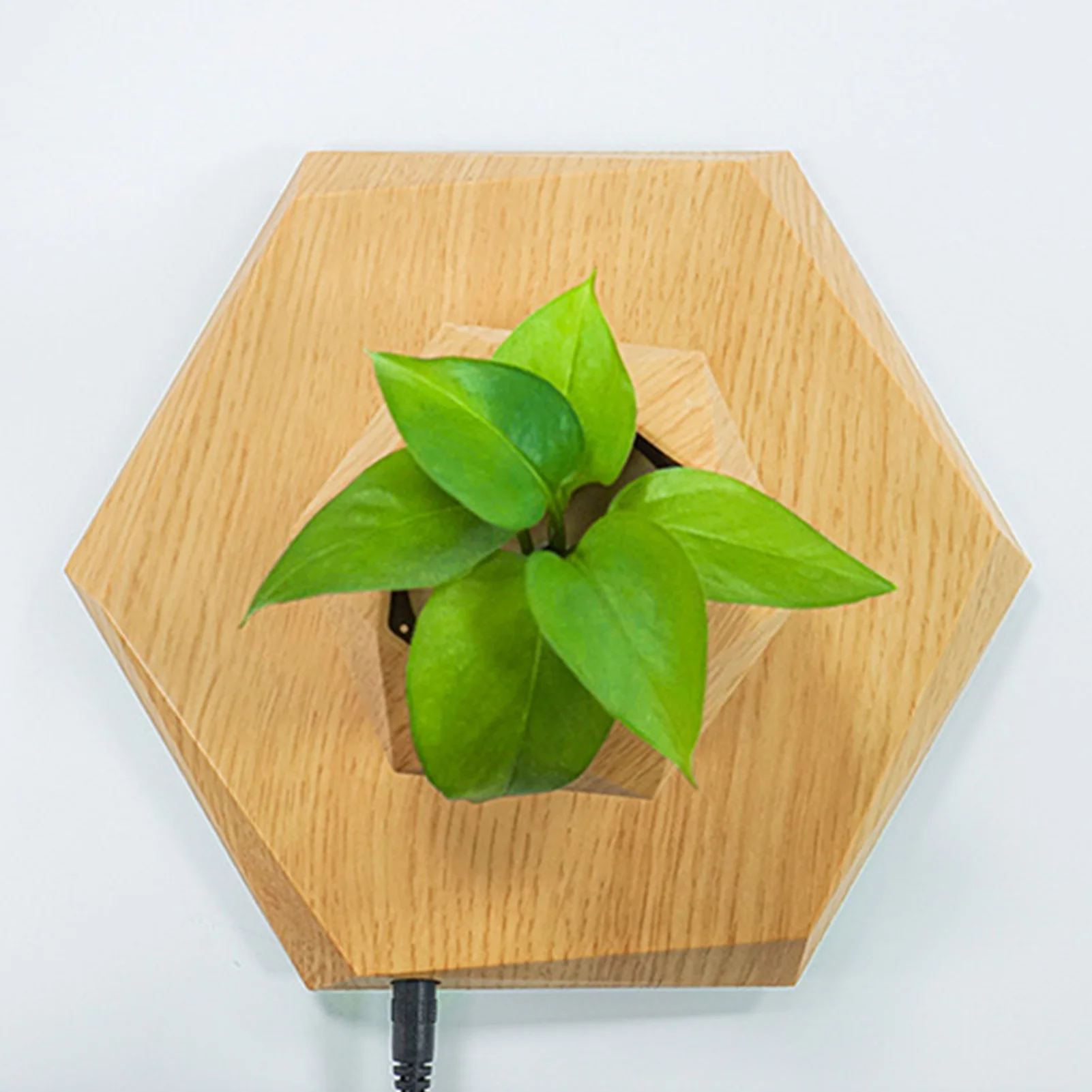 

Magnetic Suspension Flower Pot Innovative Levitating Air Bonsai Planter T Rotation Flower Pot Floating Bonsai Pot Hexagonal Pot