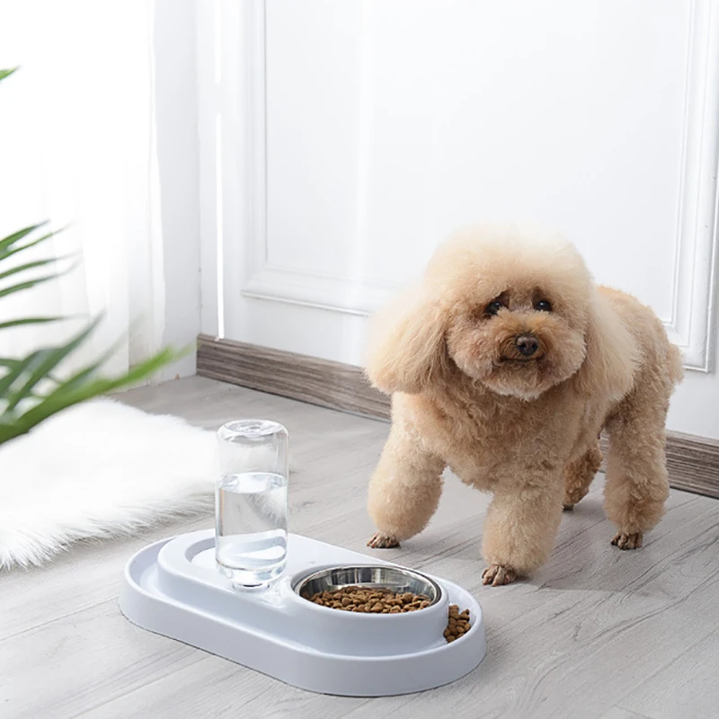 Новинка 2020 питьевая миска для кошек котят питьевой фонтан блюдо еды домашних