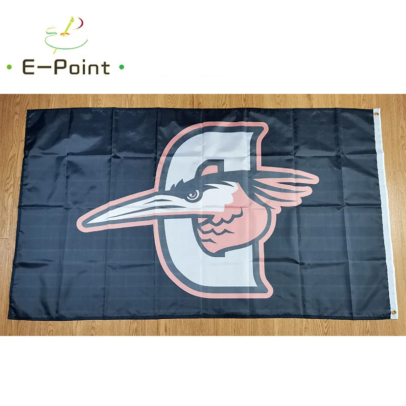

Delmarva Shorebirds Flag 2*3ft (60*90cm) 3*5ft ( 90*150cm) Size Christmas Decorations for Home Flag Banner