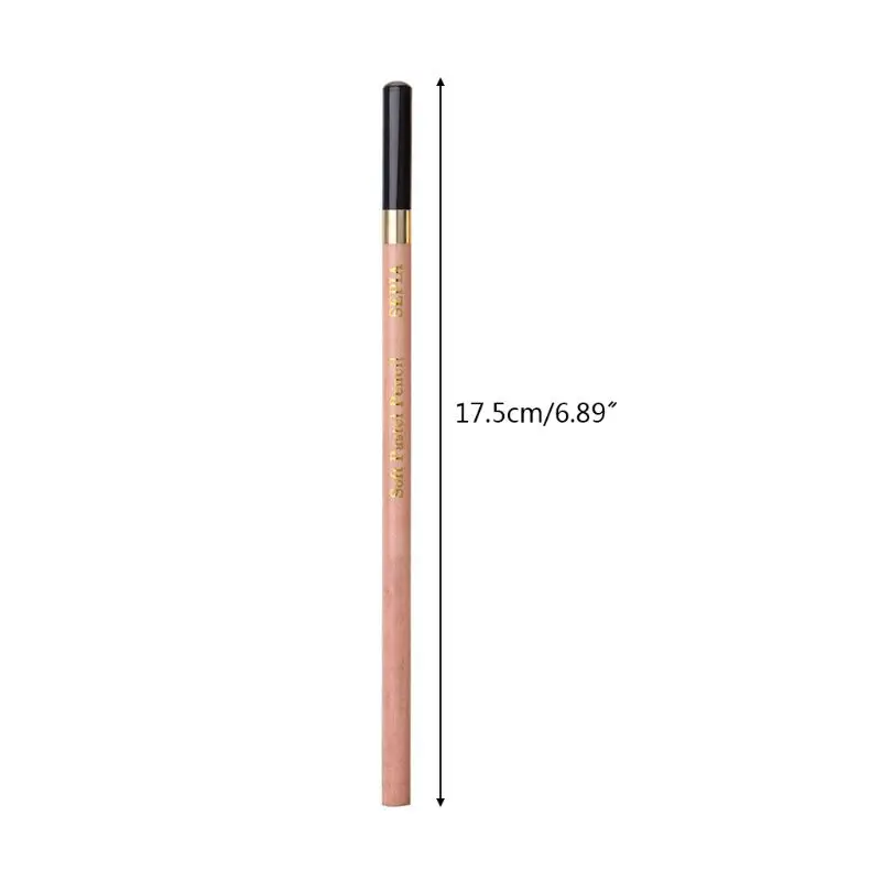 

12 Pcs/Box Artist Soft Pastel Pencils Crayon Charcoal Pencils Artiste Wooden Non toxic Pencil for Sketching Drawing
