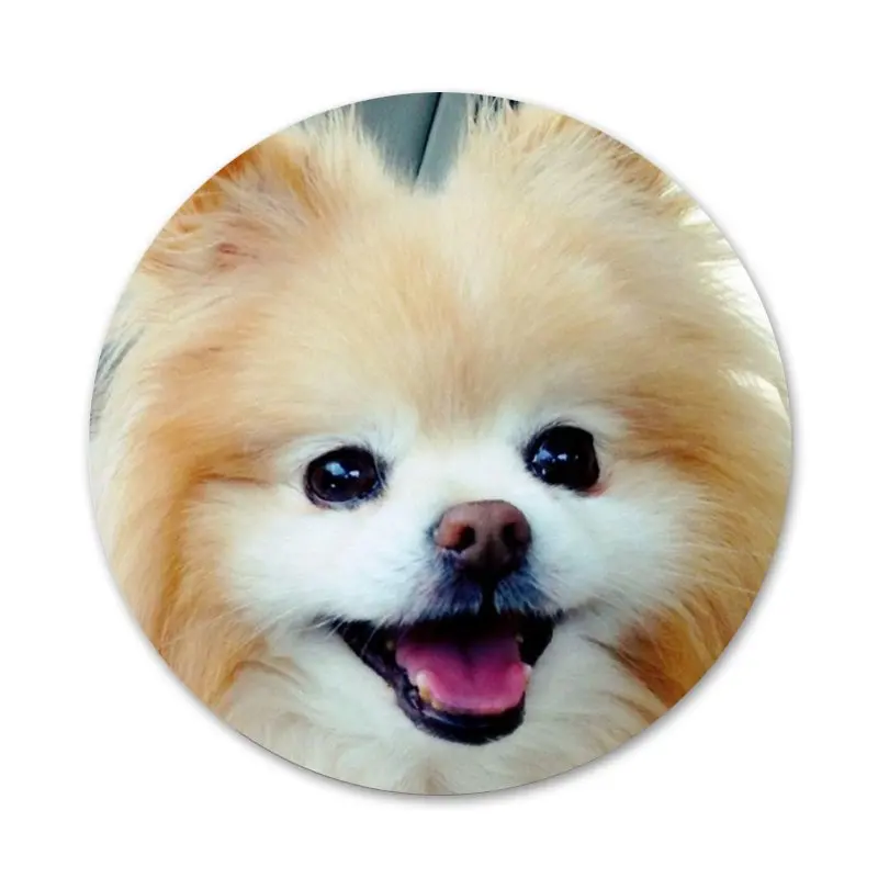 Своего померанского шпица значок с собакой брошь заколка аксессуары для одежды