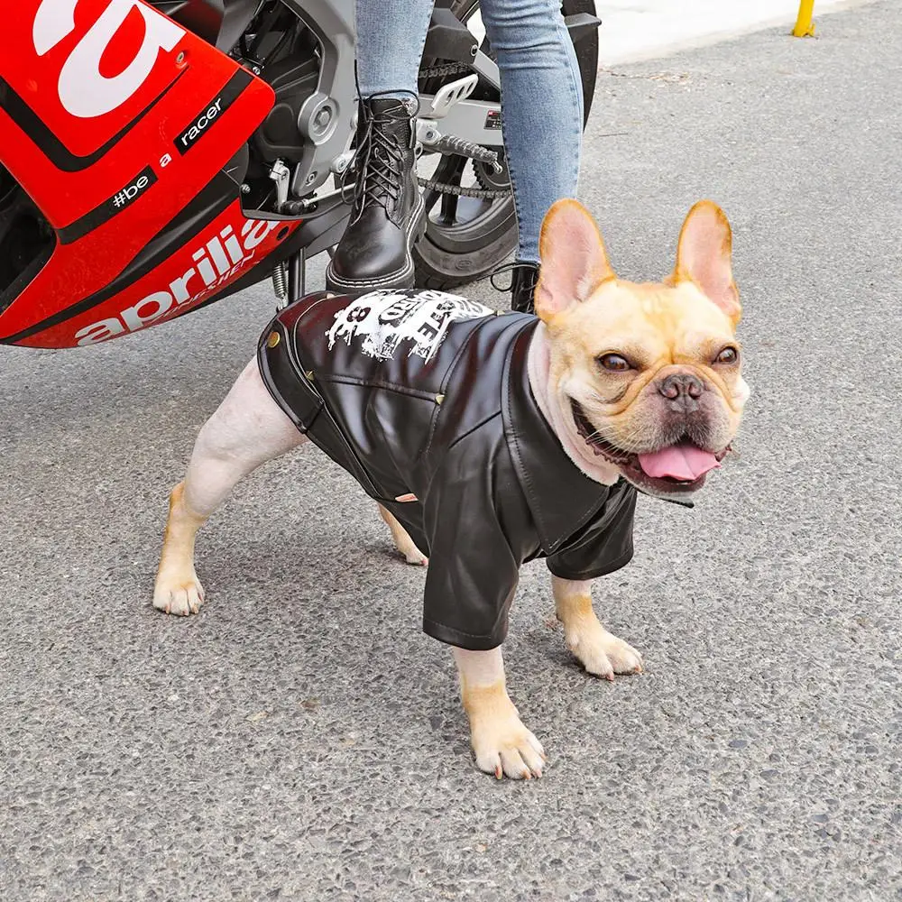 

Dog Clothes Schnauzer French Bullfighting Pet Tide Brand Printed Motorcycle Wear Autumn Warm Autumn and Winter Jacket