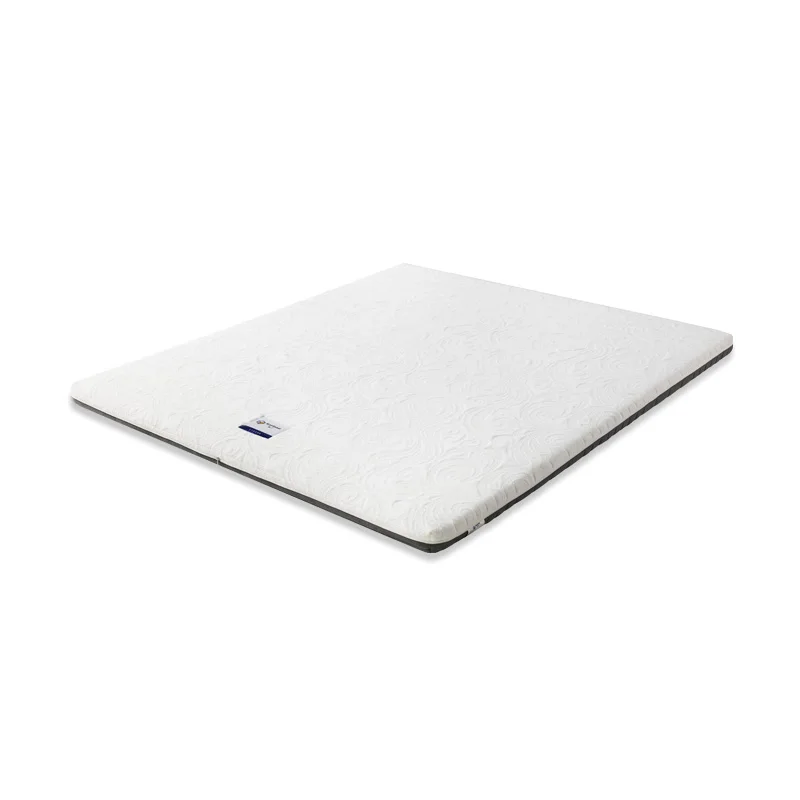 

Hard mattress single double bedroom home environmental quality mat, spinal waist support thin coconut palm pad