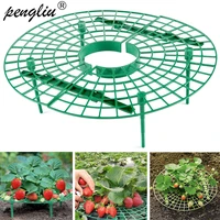 1pc strawberry plant support strawberry growing frame holder green round climbing strawberry plants tool for strawberry planting