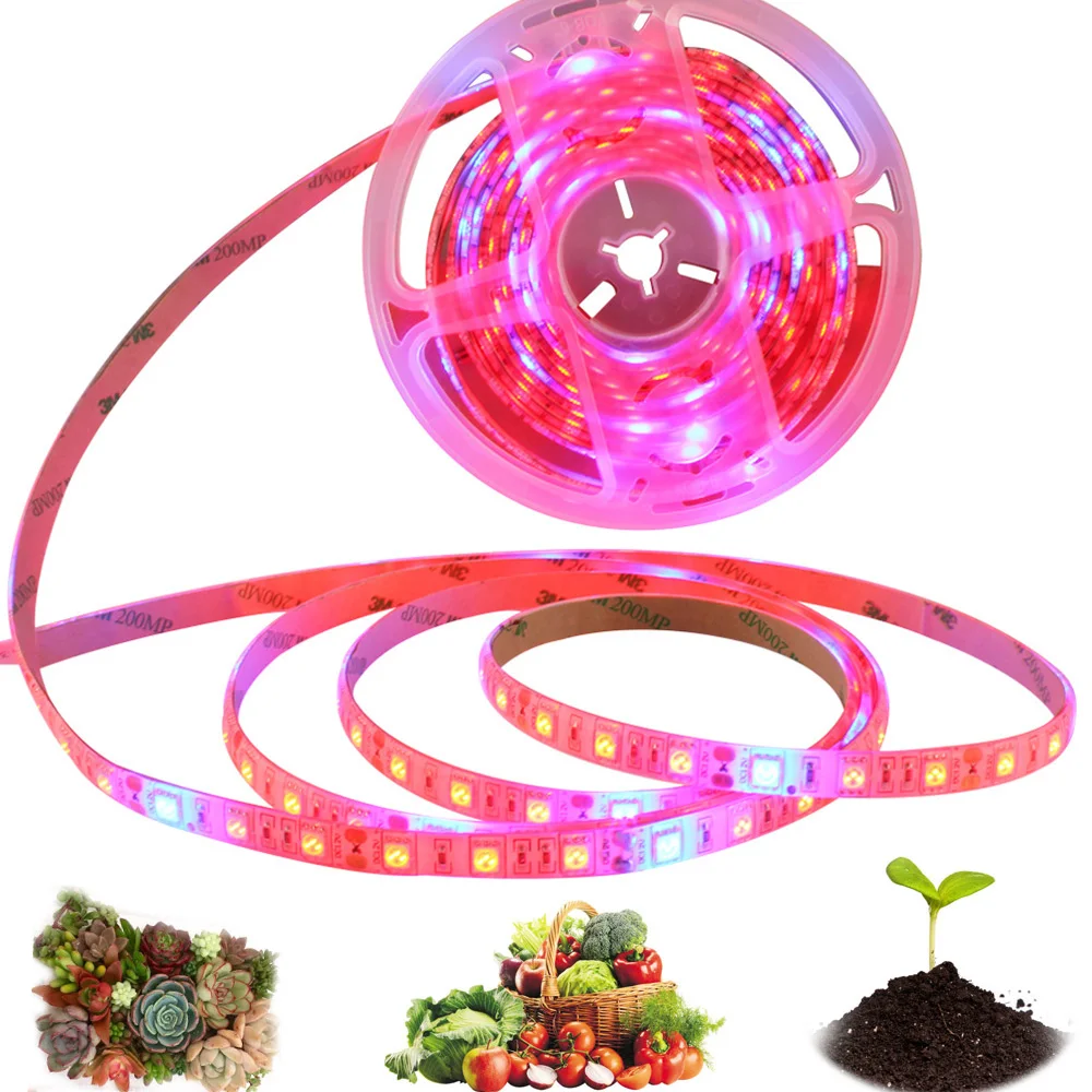 

LED Plant Grow lights 5m Waterproof Full Spectrum 12V 5050 LED Strips Indoor Flower Plants Phyto lamps For Greenhouse Hydroponic