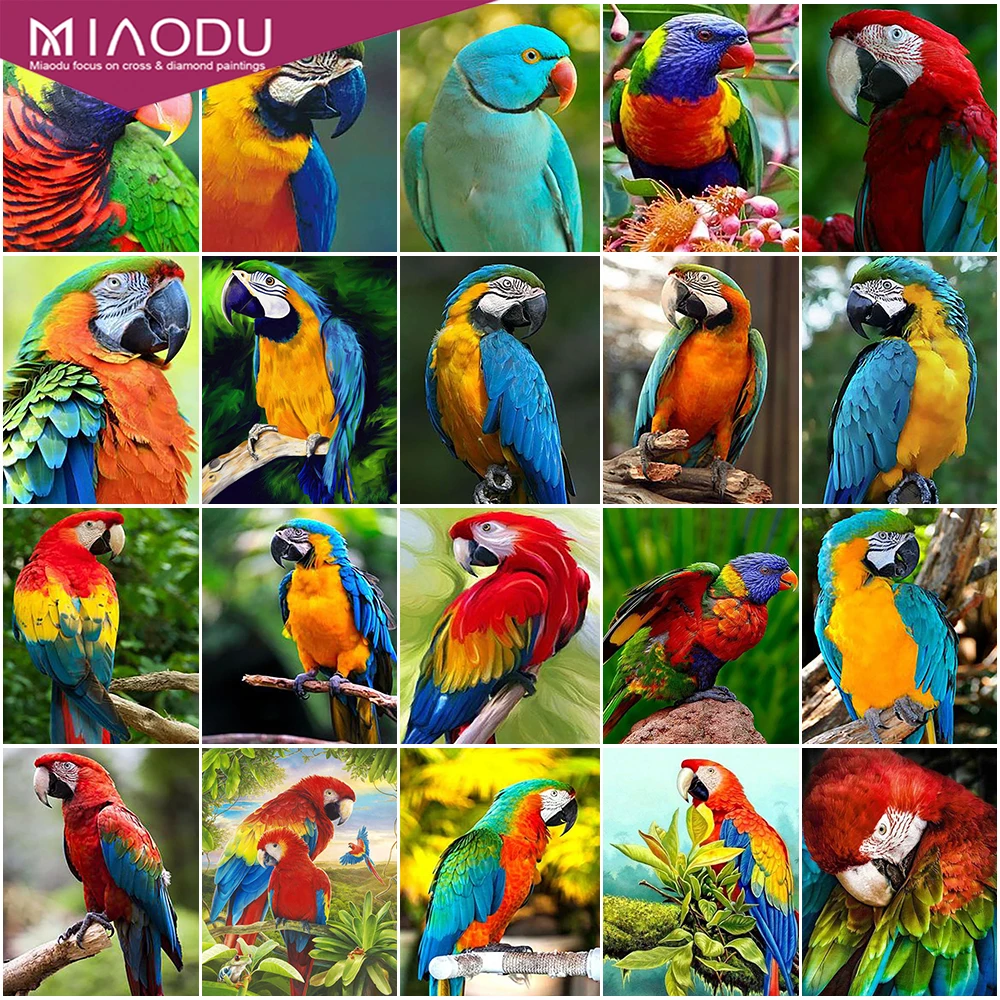 

Miaodu 5D Diamond Embroidery Anmial Cross Stitch DIY Diamond Painting Parrot Bird Diamond Mosaic Rhinestones Home Decor