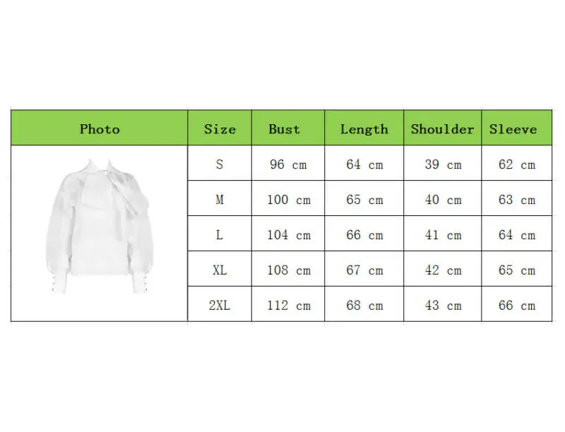 

New Women Sexy Sheer See Through Blouses Lacing Long Puff Sleeve Slim Shirts Tops Ladies Elegant Office Blouse Party Top Blusas