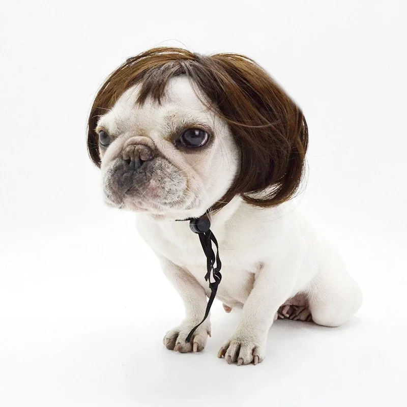 

Pet Wigs Makeover Clothing Cat Dog Cospaly Fashion Props Wigs Tiara Hairpiece dog supplies puppy pet products for dog 2021