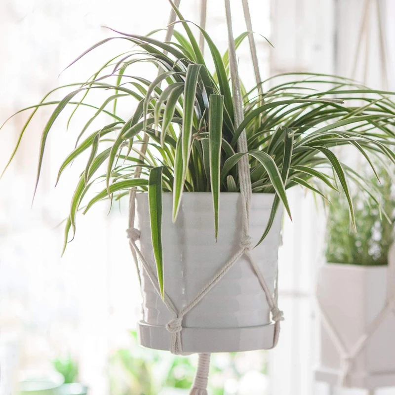 Цветочный горшок с лотком интегрированный креативный Европейский для комнатных