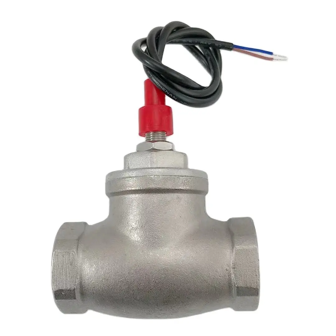 USB-FS10TS SUS304 перегородка Тип потока геркон Сенсор SS переключатель 8-50L/мин 250V DC 70 Вт 2