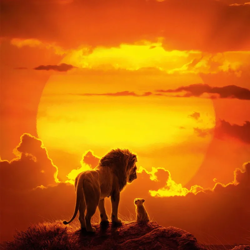 

beibehang Custom Black and white rhino lion photo wallpaper animal TV background mural porch sofa wallpaper Decorative paintings