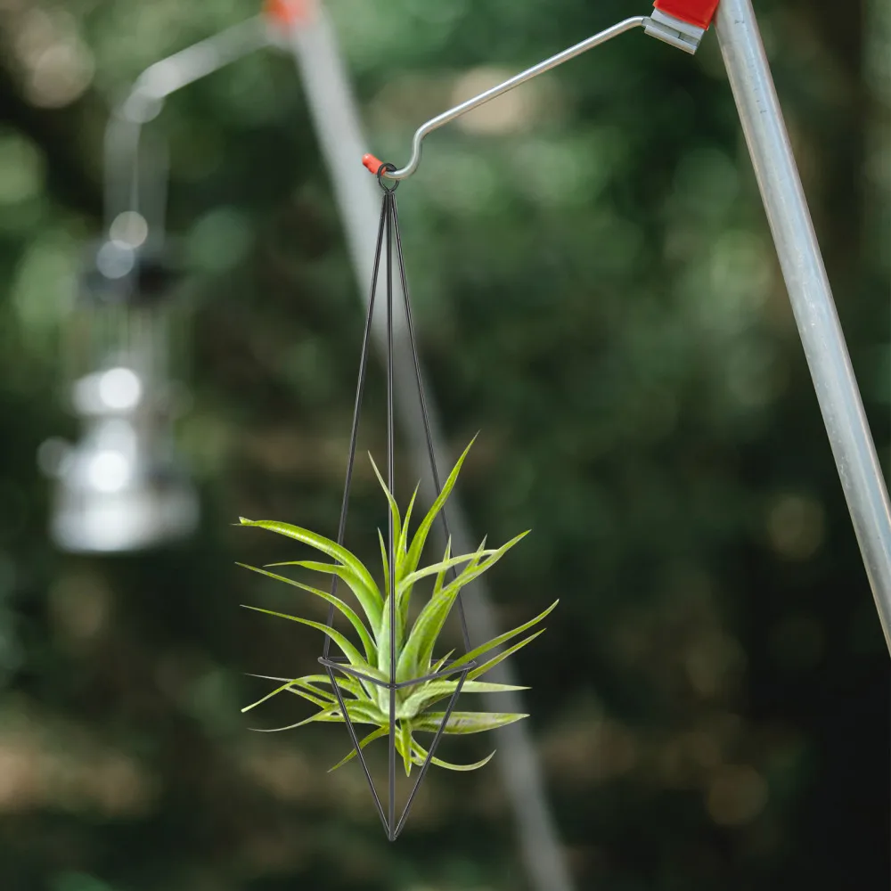 

1pc Metal Hanging Flower Rack Wall Ornament Plant Display Rack for Home (Black)