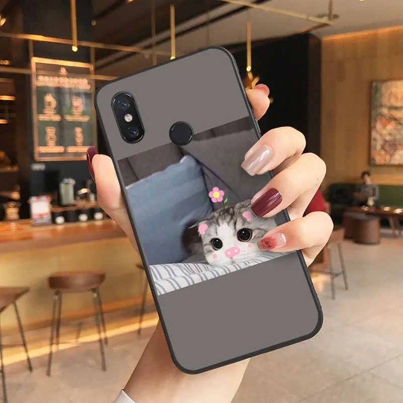 Cute Funny Kitten Cat Soft black Phone Case For Xiaomi Mi 6 6plus 8 8SE 9 9SE 6X Note2 Note3 Coque Shell Cover