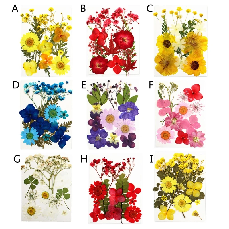 

12Pcs Pressed Dried Flowers for Resin Natural Dried Flower Herbs kit for Resin Jewelry Making Soap and Candle Making