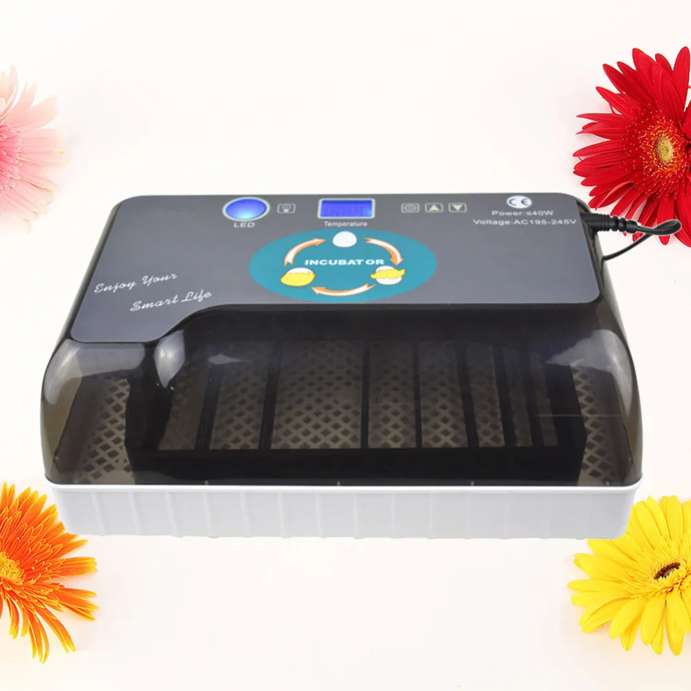 

Automatic Household Incubator Bird Geese Egg Experiment Teaching Incubation Equipment(12 Pieces Capacity With US Plug)