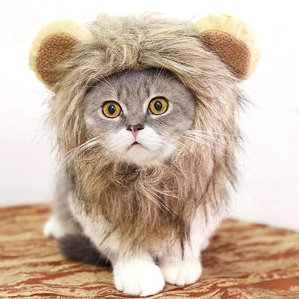 Фото Лев Мане костюм для кошек собак домашних животных аксессуары волос Наряжаться