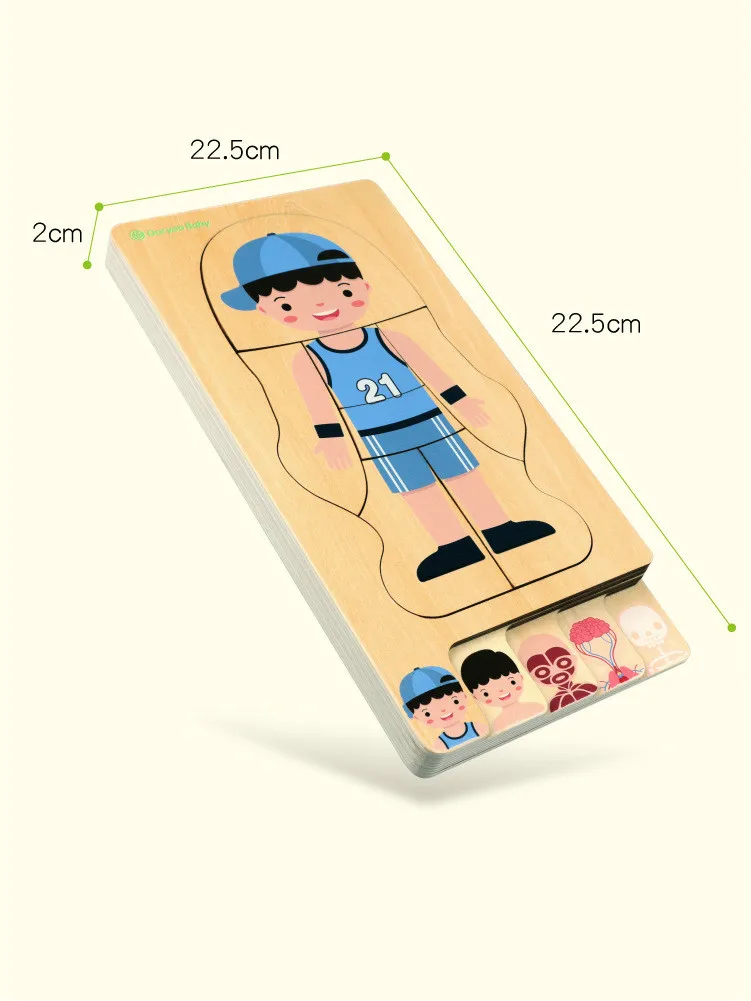 

Montessori Educational Children Toys Wooden Human Body Puzzle Boys Girls Body Structure Children Puzzles Kids Toys multi-storey