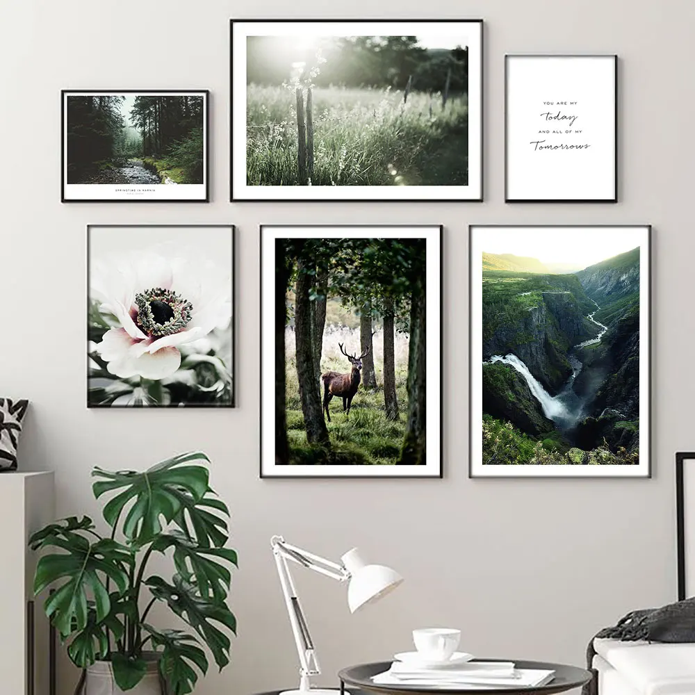 

Mountain Forest Picture Nature Flower Scenery Scandinavian Poster Nordic Decoration Wall Art Canvas Painting Print Landscape