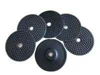 5PCS/1Set 4 Inch 100mm Black Wet Diamond Polishing Pads Kit With A M14 Backer For Granite Stone Concrete Marble Polishing