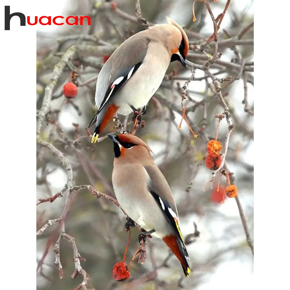 Алмазная живопись Huacan 5d птица полная квадратная/круглая бриллиантовая вышивка