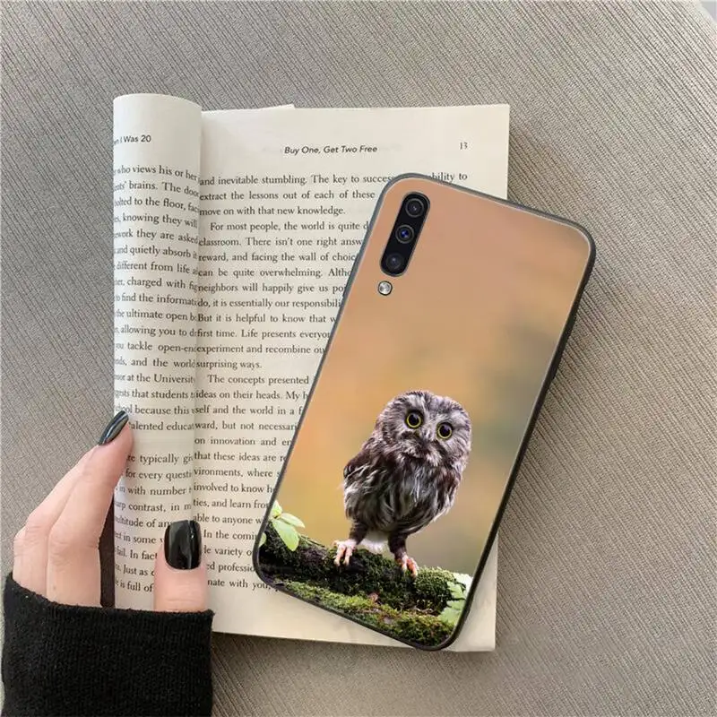 

Cartoon owl animal high quality Phone Case For Samsung galaxy S 9 10 20 A 10 21 30 31 40 50 51 71 s note 20 j 4 2018 plus
