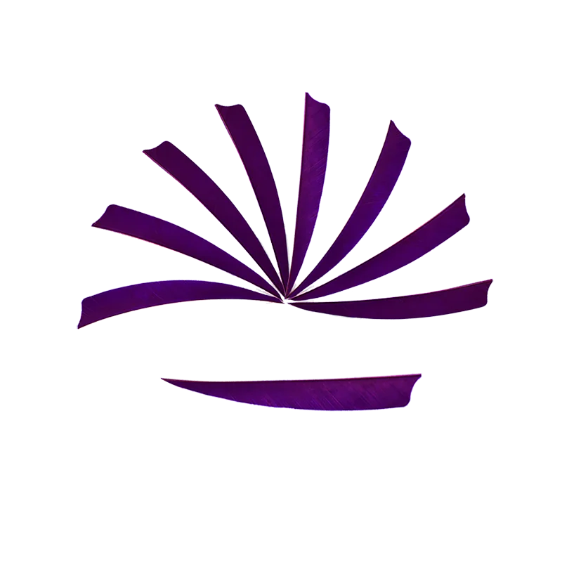 Стрелы для стрельбы из лука с пером 5 &quot насадки перьев индейки натуральные