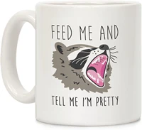 feed me and tell me im pretty raccoon white 11 ounce ceramic coffee mug friends gift mugs and cups