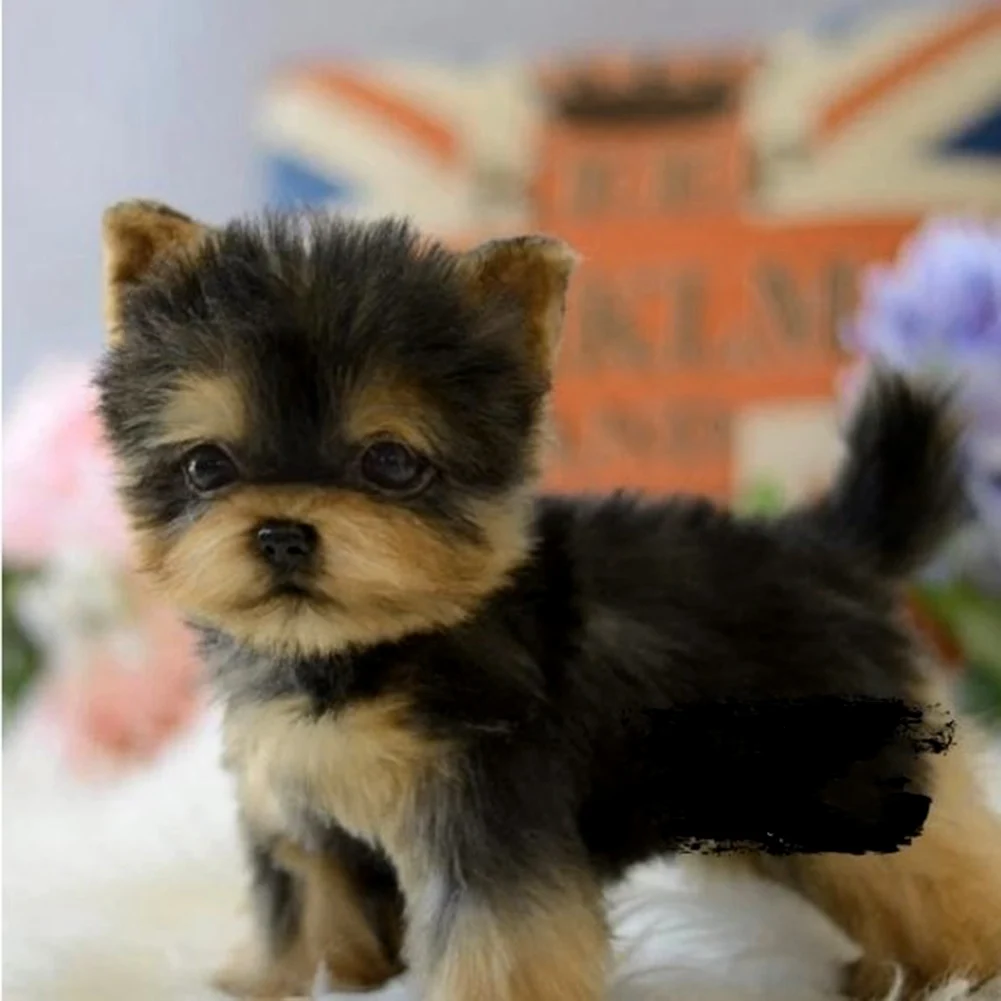 Реалистичная игрушка для Йорка собака щенок реалистичный мягкий спутник ручная