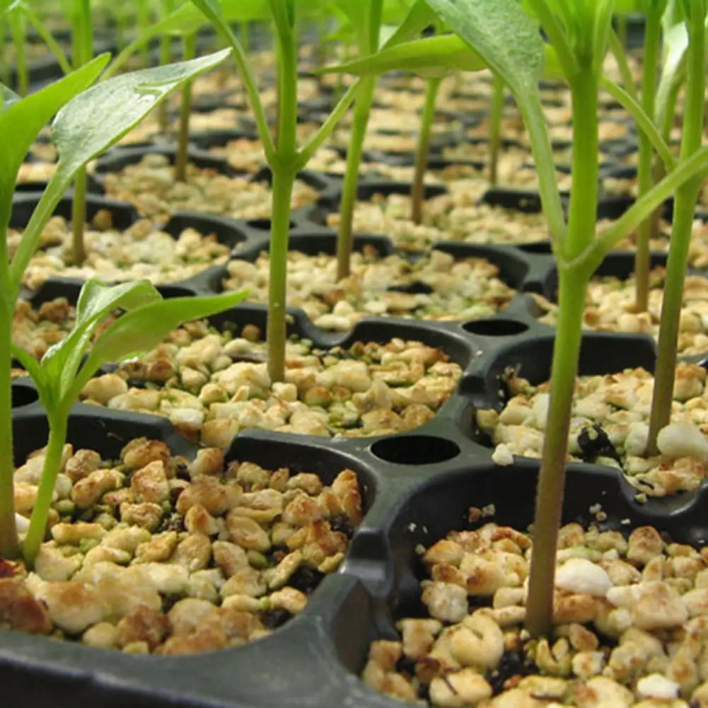 Пластина для рассады с 200 отверстиями пластмассовый поднос начинающих семян