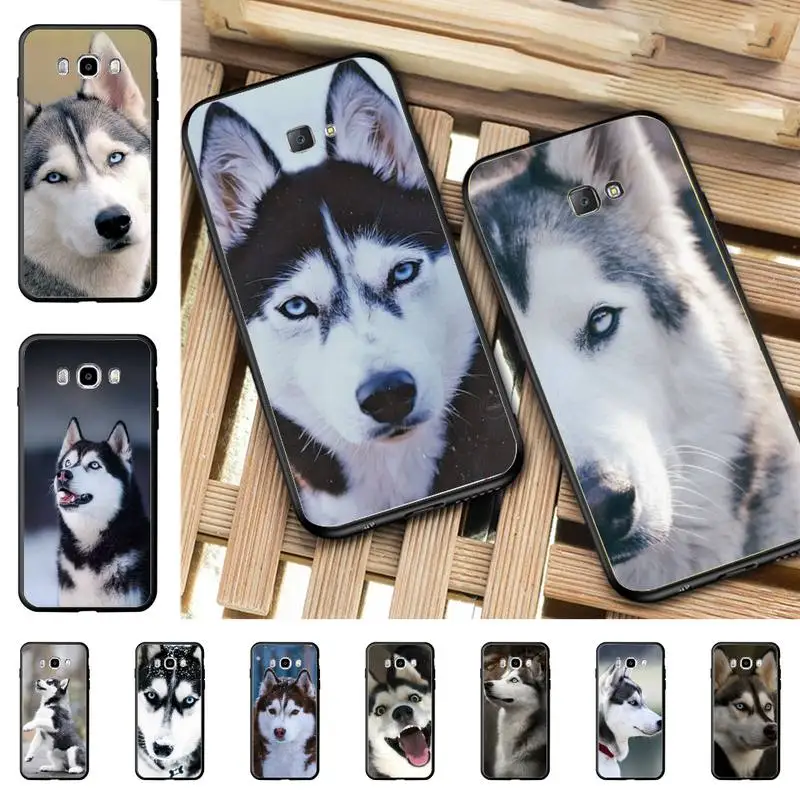 

YNDFCNB Alaskan Huskies Dog Phone Case for Samsung J 4 5 6 7 8 prime plus 2018 2017 2016 J7 core