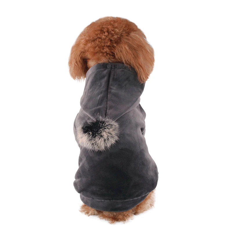 

New style pet clothes autumn and winter dog clothes coat hoodie cotton-padded clothes two-legged sweater Halloween cat clothes