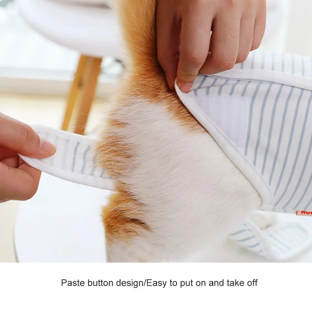 Высококачественная одежда для стерилизации кошек милый сиамский костюм