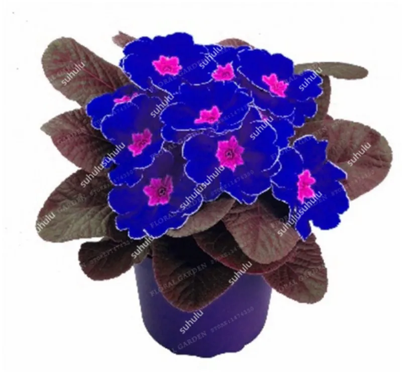 100 шт Искусственный Примула | Дом и сад