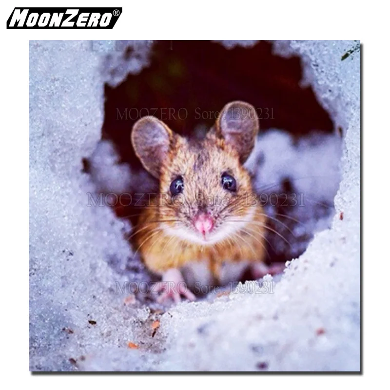 Набор для алмазной вышивки Стразы сделай сам крестиком в виде животных крысы