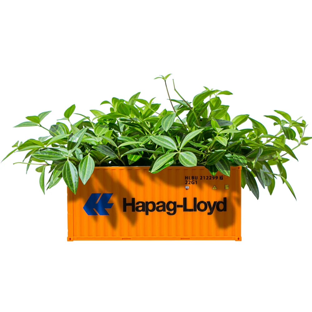

Container Model Box Creative Succulents Plant Pot Garden Storage Flower Pot Micro Landscape Decor Shipping Container Maritimo