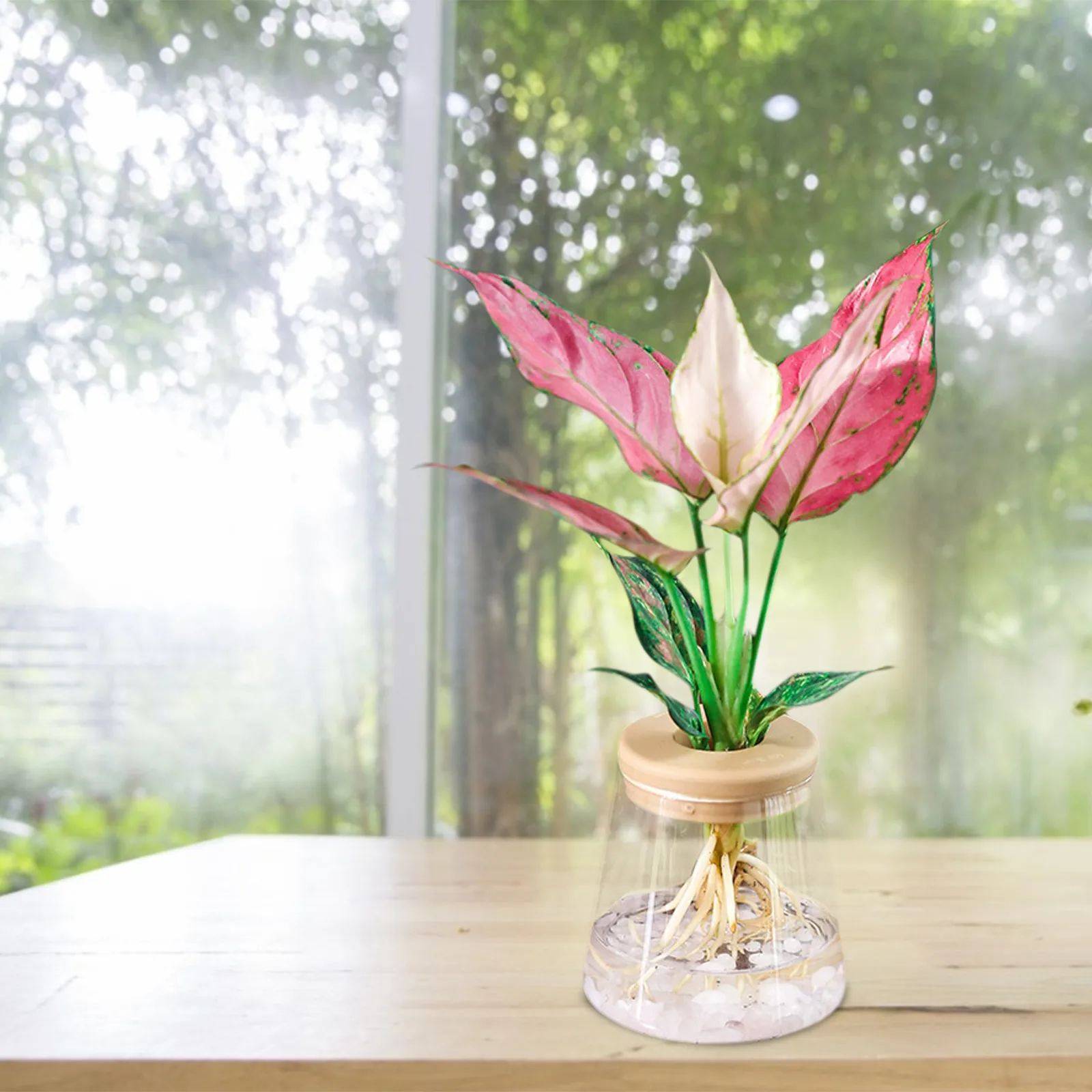 

Lazy Automatic Water Absorbing Flower Pot Self Watering Planter Bonsai Hydroponic Plant Potted Garden Decor Home Garden